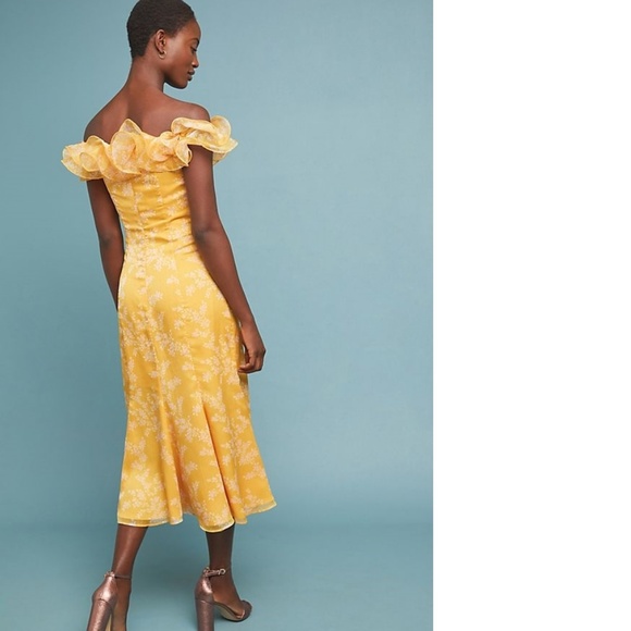 new  Anthropologie EMBRACE MIDI DRESS - Picture 4 of 5